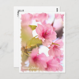 Postal Cherry blossom: Kawazu-Zakura ポストカード