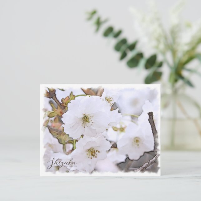 Postal Cherry Blossom "Shizuka" (Anverso de pie)