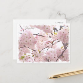 Postal Cherry Blossom "Shogetsu" ポストカード