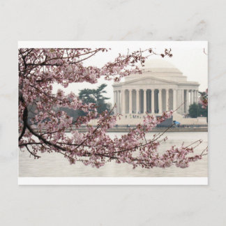 Postal Cherry Blossom Washington DC
