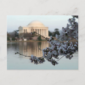 Postal Cherry Blossom Washington DC