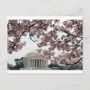 Postal Cherry Blossom Washington DC