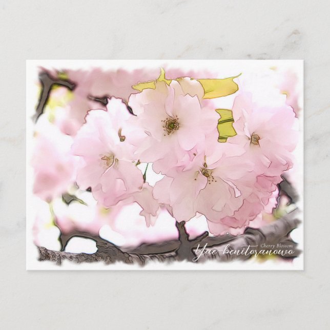 Postal Cherry Blossom "Yae-benitoranowo" (Anverso)