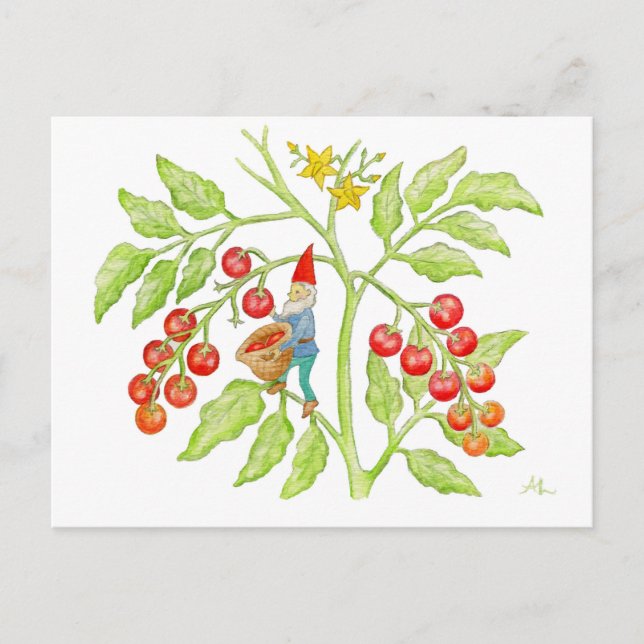 Postal Cherry Tomato Gnome (Anverso)