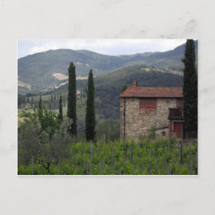 Postal Chianti Postcard