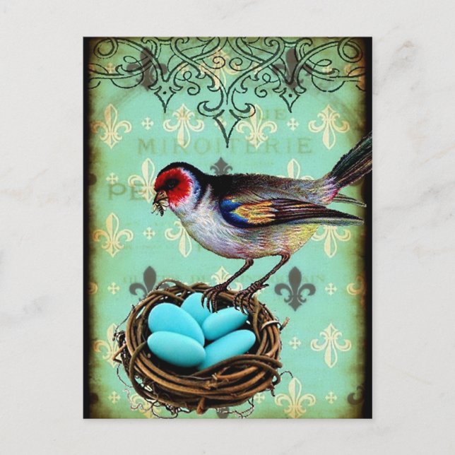 Postal Chic Fleur Di Lis Bird Nest Shabby (Anverso)