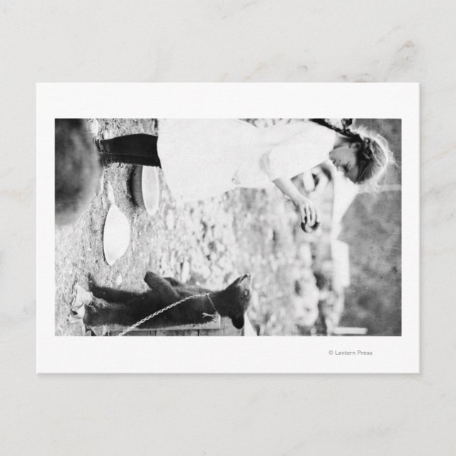 Postal Chica alimentando el cubo del oso en Seward (Anverso)