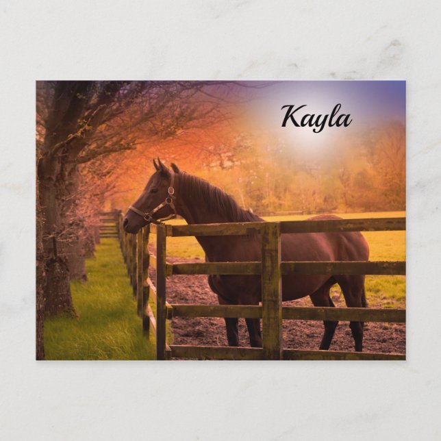 Postal Chica Caballo (Anverso)