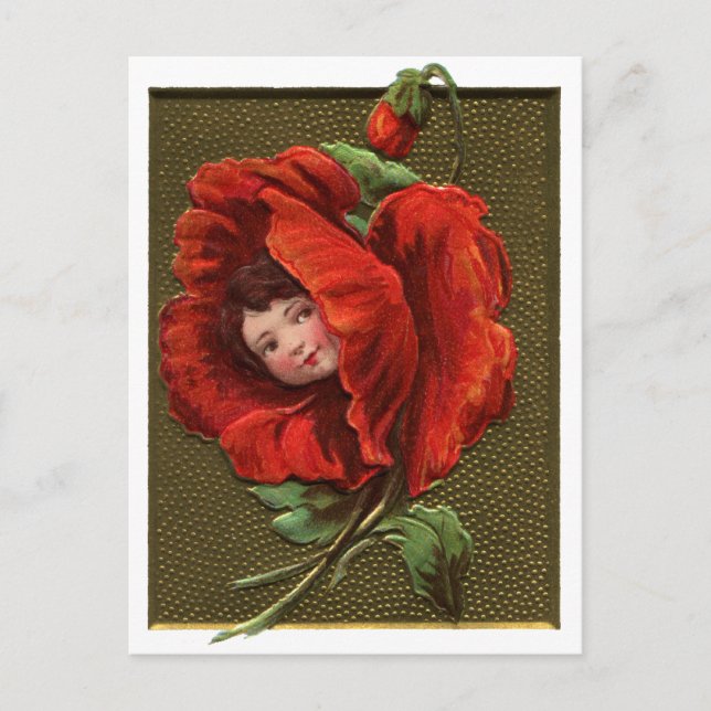 Postal Chica de amapola roja (Anverso)