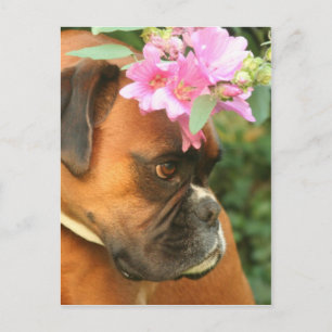 Postal Chica de flores Jolie