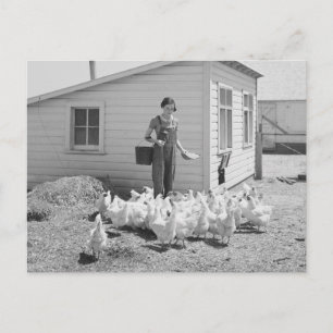 Postal Chica de granja dando de comer a pollos, 1936