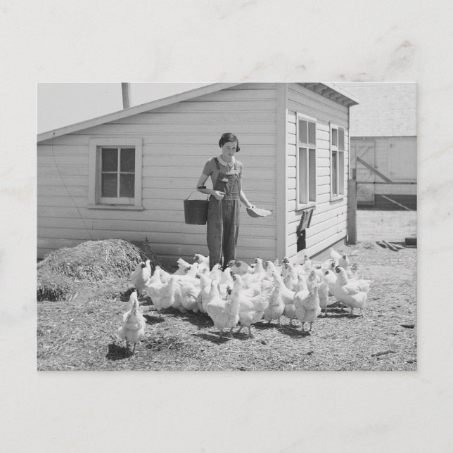Postal Chica de granja dando de comer a pollos, 1936 (Anverso)