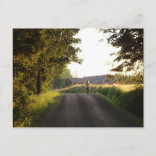 Postal Chica de país