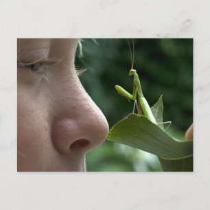 Postal Chica y Mantis religiosa