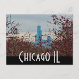 Postal chicago