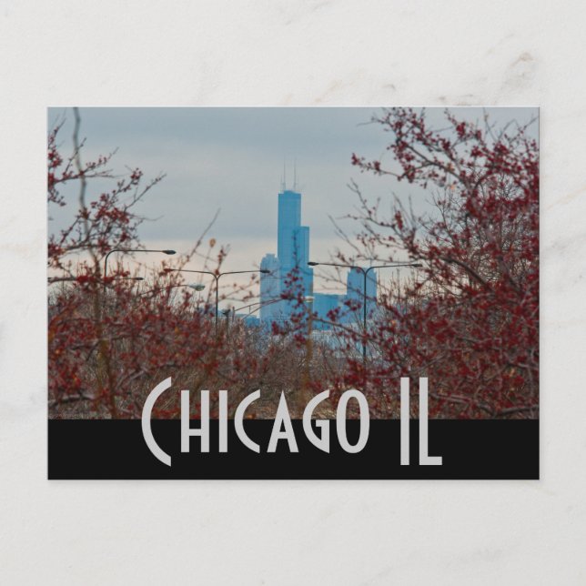 Postal chicago (Anverso)