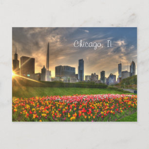 Postal Chicago, IL Postcard