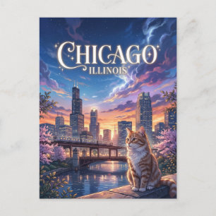 Postal Chicago Illinois