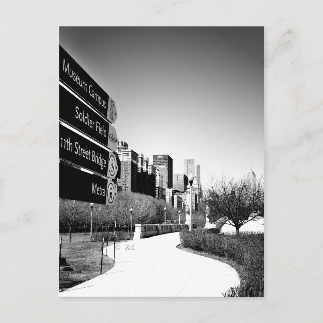 Postal Chicago This Way Postcard (Anverso)