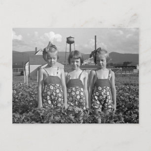 Postal Chicas de granja, 1939
