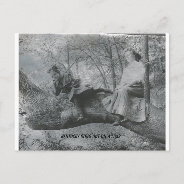 Postal Chicas de Kentucky en la mira (Anverso)