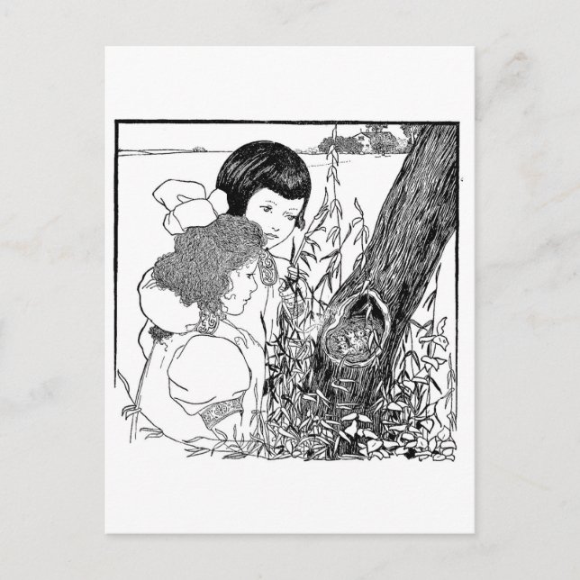 Postal Chicas Encontraron Un Nido De Pájaro (Anverso)
