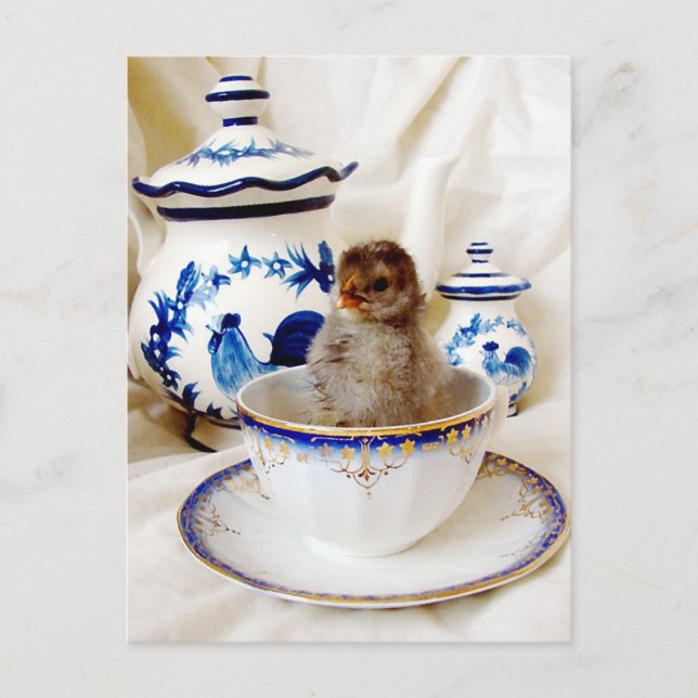 Postal Chick con efecto de pintura al aceite y Té Cup en  (Anverso)