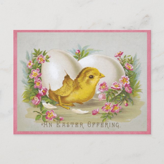 Postal Chick de época cuta feliz huevo de flores de Pascu (Anverso)