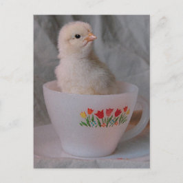 Postal Chick en un equipo vintage