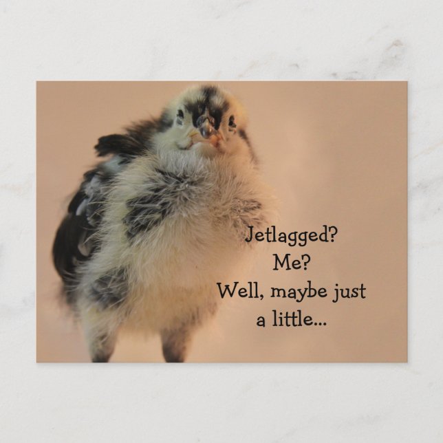 Postal Chick feo (Anverso)