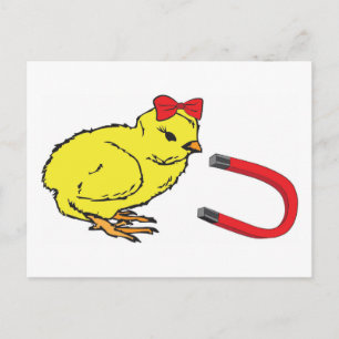 Postal Chick Magnet el hombre de una mujer graciosa