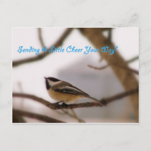 Postal Chickadee Cheer