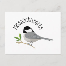 Postal Chickadee de Massachusetts