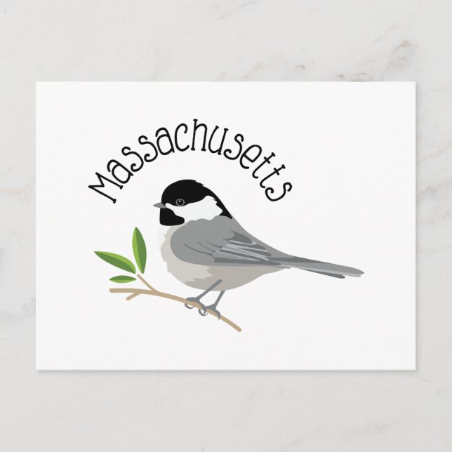 Postal Chickadee de Massachusetts (Anverso)