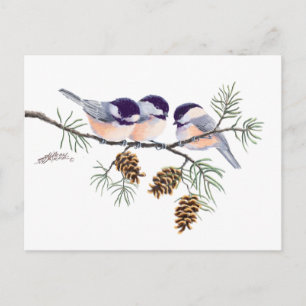 POSTAL CHICKADEES & PINECONES DE SHARON SHARPE