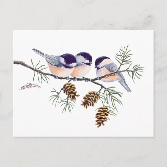 POSTAL CHICKADEES & PINECONES DE SHARON SHARPE (Anverso)