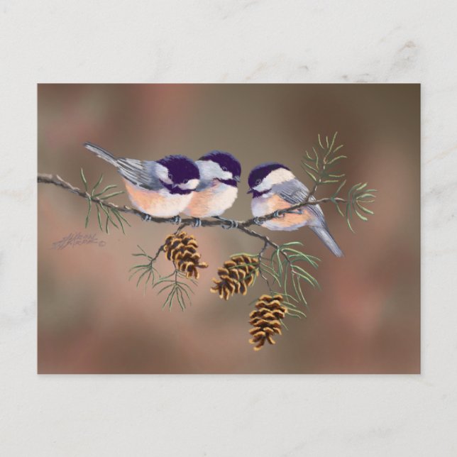 POSTAL CHICKADEES & PINECONES DE SHARON SHARPE (Anverso)