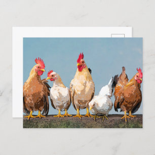 Postal Chicken Hen de café de dos tonos Mug