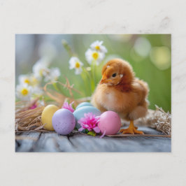 Postal Chicken stands beside an Easter nest with eggs
