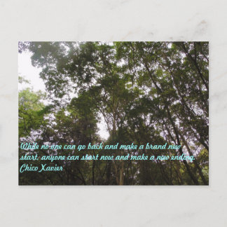 Postal Chico Xavier Quotes
