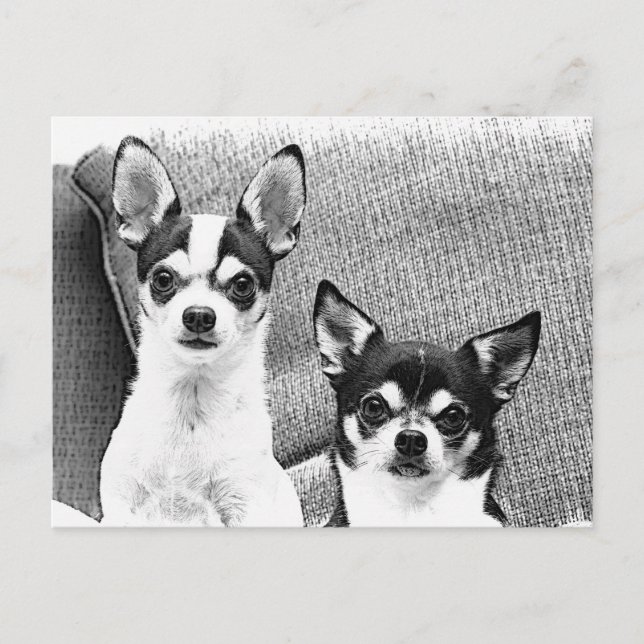 Postal Chihuahua (Anverso)