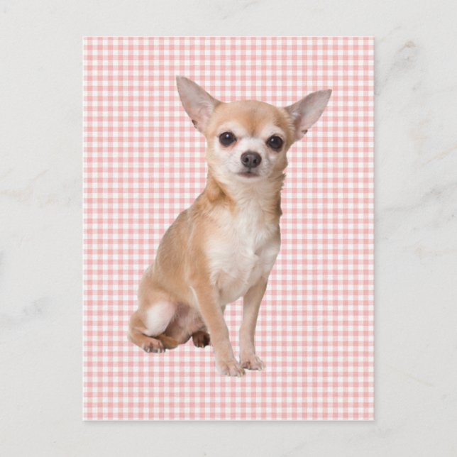 Postal Chihuahua (Anverso)