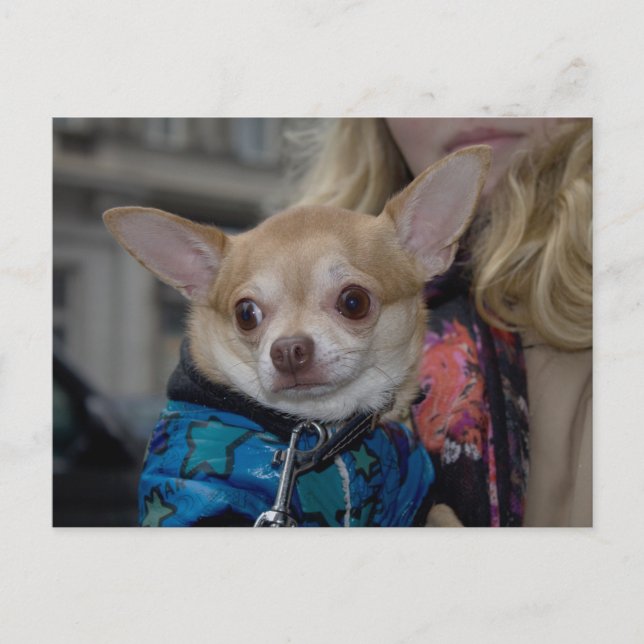 Postal Chihuahua (Anverso)