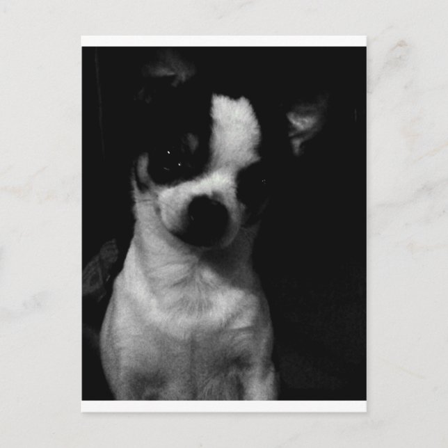 Postal Chihuahua (Anverso)