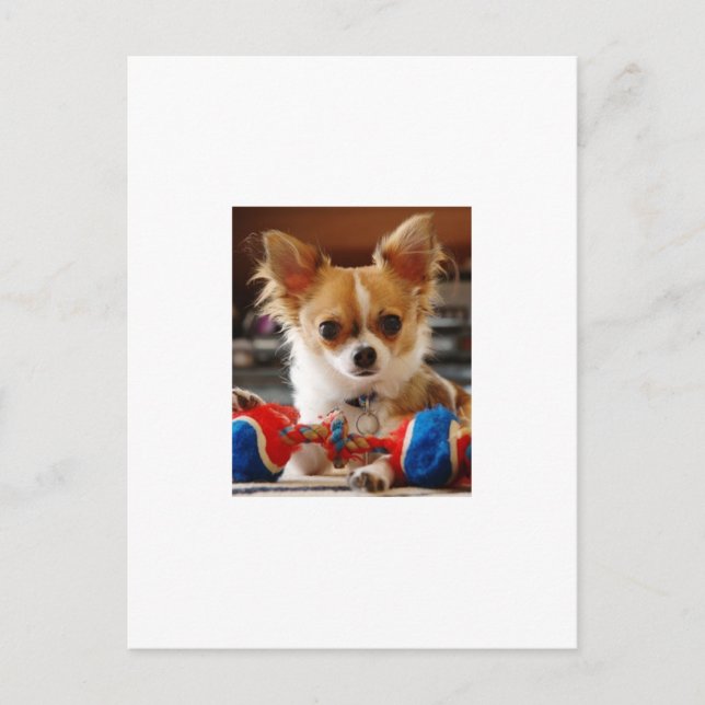 Postal Chihuahua (Anverso)