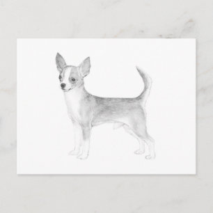 Postal Chihuahua