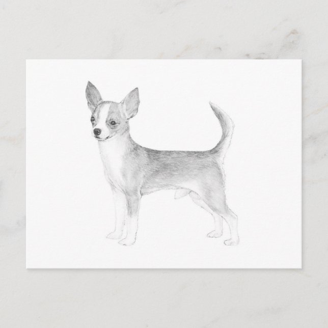 Postal Chihuahua (Anverso)