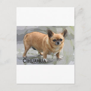Postal Chihuahua ワ ワ ч и х у х а snisniSayono