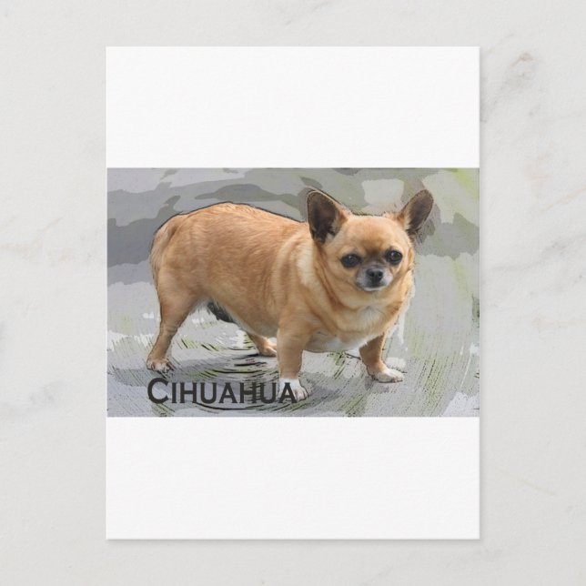 Postal Chihuahua ワ ワ ч и х у х а snisniSayono (Anverso)