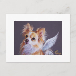 Postal Chihuahua Angel